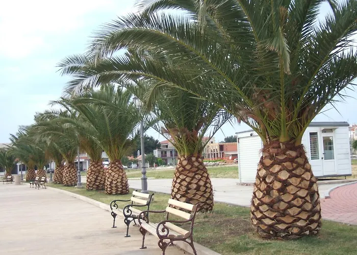 Апартаменты Kod Rade Пакоштане