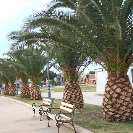 Apartment Apartmani Kod Rade Pakostane